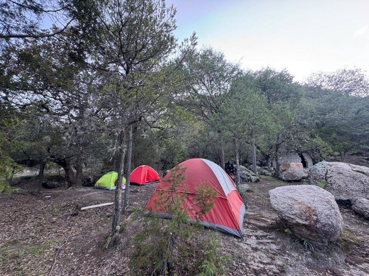 Zona de camping entre encinos y formaciones rocosas